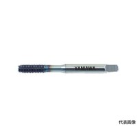 rtqyfSlQDTwODSTa@^bv