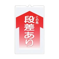 �R�[���T�C���s�r�@�u���̐�@�i������v�@�s�r�|�Q�@�s�r�|�Q�@�P��