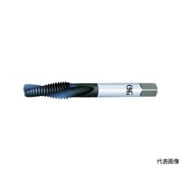 �|�C���g�^�b�v�@�E���g���V���N���^�b�v�i���[�g���˂��p�j�@�l�P�U�@�s�b�`�P�D�T�����@�W�R�P�P�S�O�P�@�t�r�|�`�k�|�q�e�s�|�r�s�c�|�l�P�U�w�P�D�T�@�t�r�|�`�k�|�q�e�s�|�r�s�c�|�l�P�U�w�P�D�@�P�{