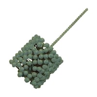 �a�b�V�U�D�O�@�r�b�Q�S�O�t���b�N�X�z�[��