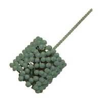 �a�b�V�U�D�O�@�r�b�U�O�@�t���b�N�X�z�[��