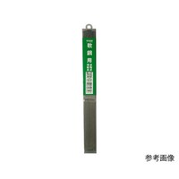 �a�k�[�O�P�@�n�ږ_