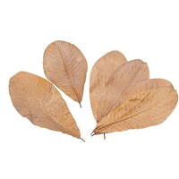 �p�g�n�P�T�O�P�@�p�t�@�P�O�O�����@�r