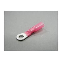 �h���`�����[�q