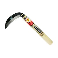 �g�s�|�O�O�T�Q�@���؃L���x�c���@�Ȑn