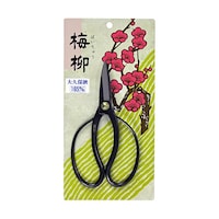 �P�U�T�����@��v����