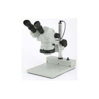 royV[Y̌@roy|TOof|QUO@roy|TOof|QUO@P