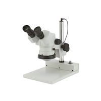 cryV[Y̌@cry|SSof|QUO@cry|SSof|QUO@P