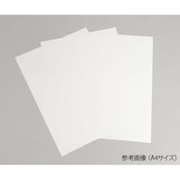 �n���V�b�N�C�u�i�o�d�s�t�B�����^�C�v�j�@�o�d�s�|�l�w�R�@�Q�O�������@�U�S�|�R�V�Q�U�|�U�S�@�P��