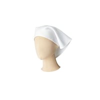 �O�p�Ё@�z���C�g�@�t���[�@�e�`�X�S�U�R�|�P�T�@�e�`�X�S�U�R�|�P�T�@�P��