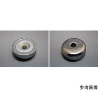 �l�I�W���L���b�v�@���R�Q�~�W�|�l�T�M���@�T���@�b�m�d�O�X�@�b�m�d�O�X�@�P��