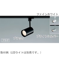 �X�|�b�g���C�g