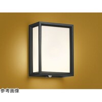 �k�d�c�h�J�u���P�b�g�@�Ɠx�Z���T�t�@�`�t�S�T�P�V�O�k�@�`�t�S�T�P�V�O�k�@�P��