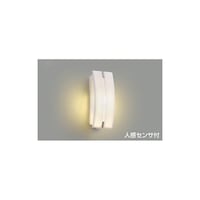 �k�d�c�h�J�u���P�b�g�@�Ɠx�Z���T�t�@�`�t�S�V�R�O�T�k�@�`�t�S�V�R�O�T�k�@�P��