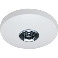 �r�o�b�|�v�@���������������@�{�̂̂݁@��