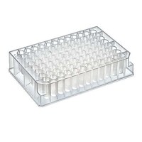 �e���������������@�f�B�[�v�E�F���v���[�g