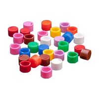 �L���b�v�C���T�[�g�@�a�l�r�@�N���C�I�o�C