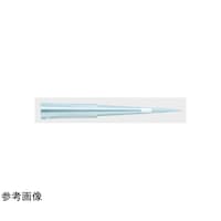 �t�B���^�[�`�b�v�@�`�q�s�@�P�O�e�@�k�q�@