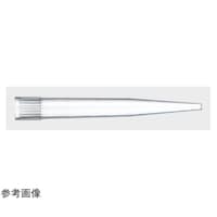 v`bv@POOO@SOO{~P܁@XSOTOTO@XSOTOTO@P