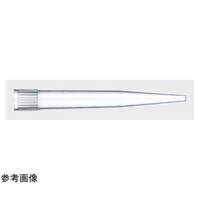 v`bv@QTO@ŋۍρ@XU{~