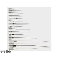 tB^[@ODT[QOOʂk@PiXU{~PObNj@XSOTQROO@XSOTQROO@P