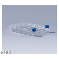 Zt@Ng[@QC[@ڒזEp@V[Lbv@P~WpbN@bdkbtefOPOOOQr@bdkbtefOPOOOQr@P