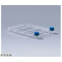 Zt@Ng[@PC[@ڒזEp@xgLbv@P~WpbN@bdkbtefOPPOOPr@bdkbtefOPPOOPr@P