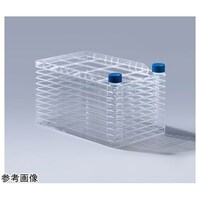 Zt@Ng[@POC[@ڒזEp@xgLbv@P~SpbN@bdkbtefOPPOPOr@bdkbtefOPPOPOr@P