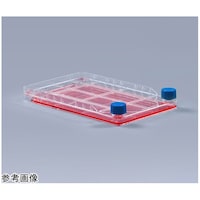 Zt@Ng[@PC[@V|{p@xgLbv@P~WpbN@bdkbtefOPROOPr@bdkbtefOPROOPr@P