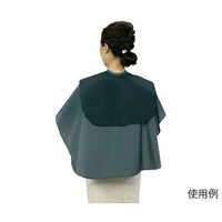 �G�N�Z���@�o�b�N�V�����v�[�N���X�@�X���[�N�O���[�@�r�@�}�W�b�N�t�@�v�P�O�P�T�@�v�P�O�P�T�@�P��