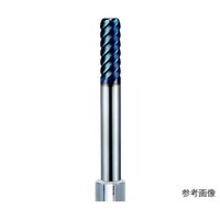 �����J�b�g�V�O�G���h�~���i���W�A�X�j�@�r