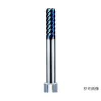 �����J�b�g�V�O�G���h�~���i���W�A�X�j�@�r