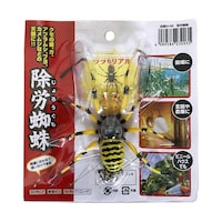 ���J�w偁@�U�O���@�l�|�S�U