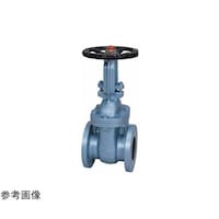 ���S�@�Q�[�g