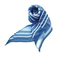 �d�m�i�n�x�@�����O�X�J�[�t�@���{���@�u���[�@�d�`�y�P�V�Q�@�d�`�y�P�V�Q�@�P��