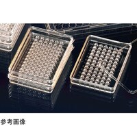 �~�j�g���C�@�u�V�Q�@�P���i�P�O�~�P�T��