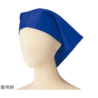 OpЁ@u[@e`XSUT@e`XSUT@P