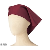 OpЁ@C@e`XSUT@e`XSUT@P