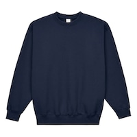 �P�O�I���X�@�g���[�i�[�i���p�C���j