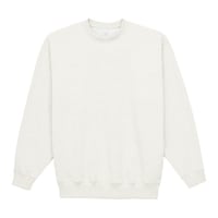 �P�O�I���X�@�g���[�i�[�i���p�C���j