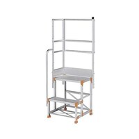 ���ʕt�Ў肷��i�Q�i�p�^�d�`�X�O�R�a�v�|