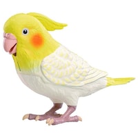 �����Ƃ�����ׂ�V�˃I�J���C���R�����