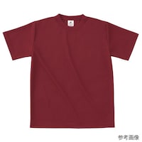 �t�@�C�o�[�h���C�s�V���c�@�o�[�K���f�B�[�@�V�w�k�@�o�n�s�P�O�S�|�o�[�K���f�B�[�|�V�w�k�@�o�n�s�P�O�S�|�V�w�k�@�P��