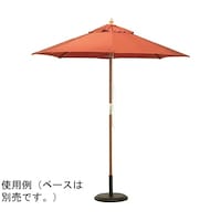 Cxgpp\@F@TSPVO@TSPVO@P{