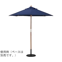 Cxgpp\@@TSPVR@TSPVR@P{