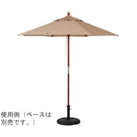 Cxgpp\@AC{[@TSPVS@TSPVS@P{