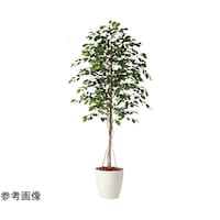 tBJXxW~i@lH؁@tFCNO[@lHϗtA@PWO@UP|VXW|XV|Q@UP|VXW|XV|Q@P