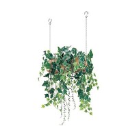 �n���M���O�|�b�g�@�R�T�O�~�S�O�O�~�T�T�O�����@�f�q�S�S�T�U�@�f�q�S�S�T�U�@�P��