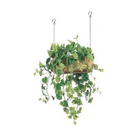 �n���M���O�|�b�g�@�R�T�O�~�S�T�O�~�U�O�O�����@�f�q�S�S�T�V�@�f�q�S�S�T�V�@�P��