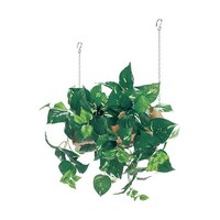 �n���M���O�|�b�g�@�R�T�O�~�S�O�O�~�S�O�O�����@�f�q�S�S�T�X�@�f�q�S�S�T�X�@�P��